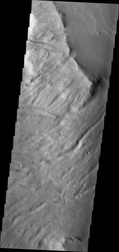 Another Apollinaris