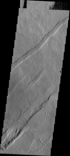 Oti Fossae