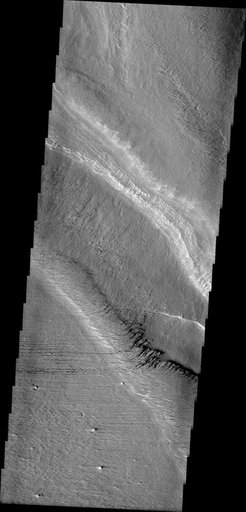 Gordii Dorsum