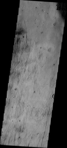 Dust Devil Tracks