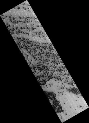Active Processes: Bright Streaks and Dark Fans