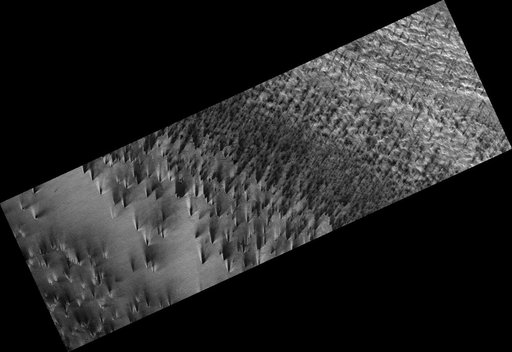 Bright Streaks and Dark Fans