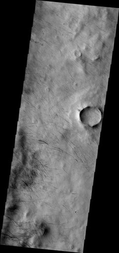 Dust Devil Tracks