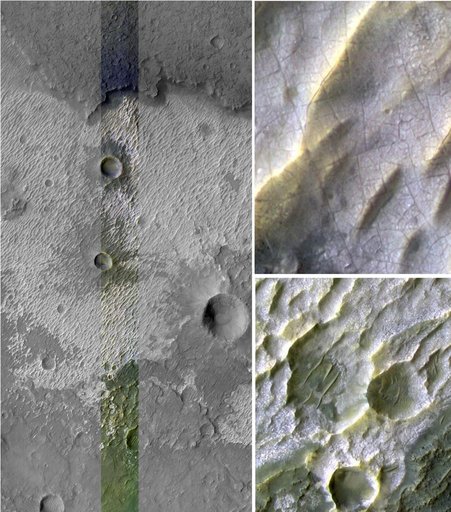 Bright Exposures of Chloride Salt on Southern Mars