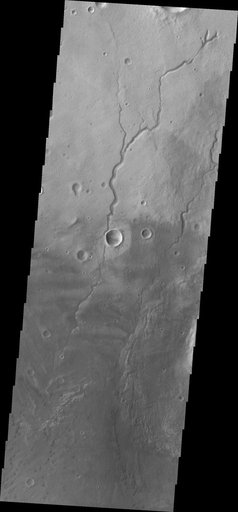 Newton Crater