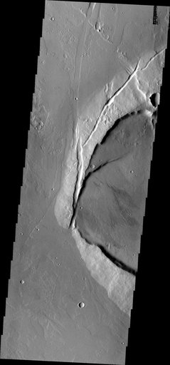 Jovis Tholus