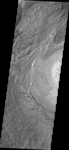 Texture