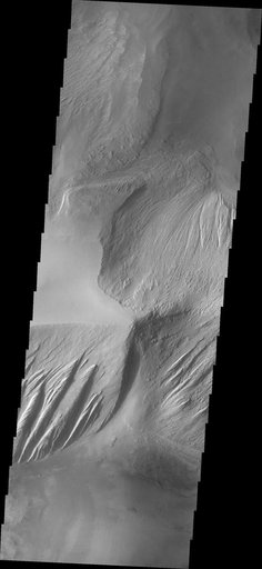 Candor Chasma