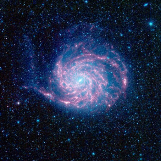 Pinwheel Looks Fab in Infrared