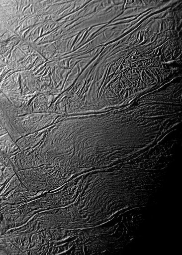 Tiger Stripes...Magnified!