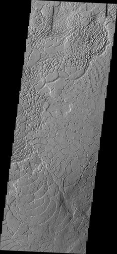 Arcuate Fractures