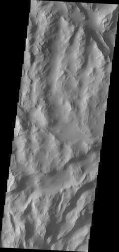 Lycus Sulci