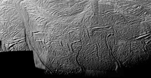 Enceladan Tectonics