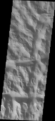 Lycus Sulci