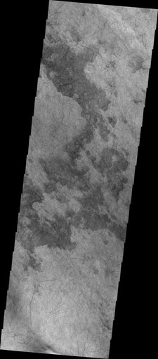 Dust Devil Tracks