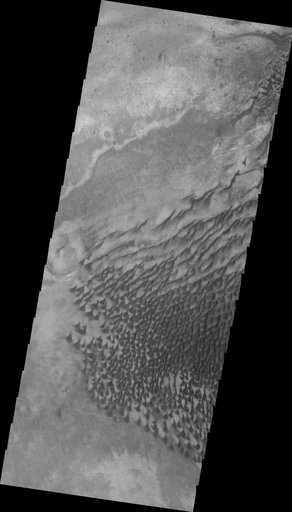 Russell Crater in VIS