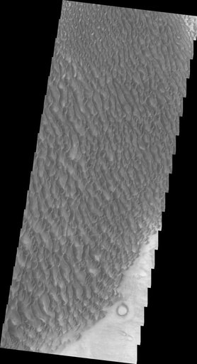 Proctor Crater