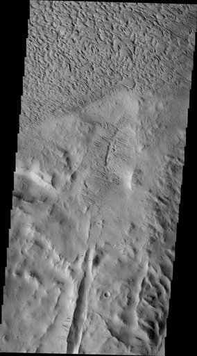 Lycus Sulci