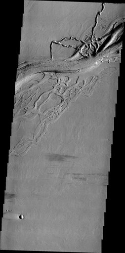 Olympica Fossae