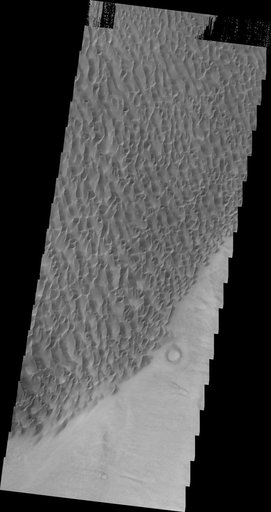 Proctor Crater Dunes
