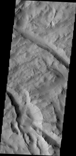 Lycus Sulci