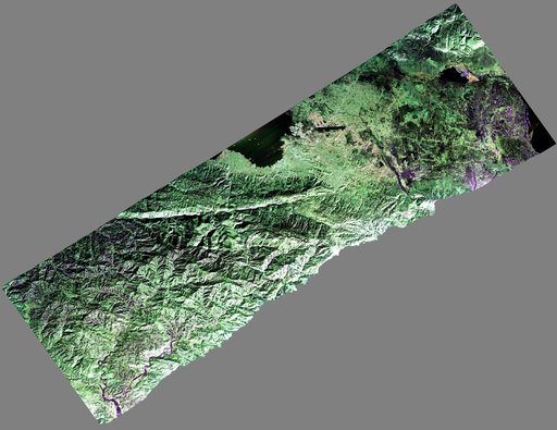 NASA Airborne Radar Captures Its First Images of Post-Quake Haiti