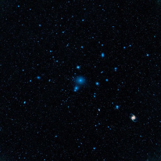 Fornax Galaxy Cluster