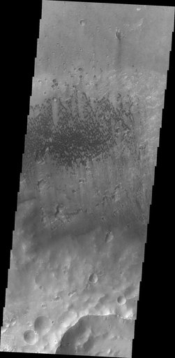 McLaughlin Crater Dunes