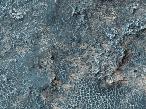 Candidate Landing Site in Possible Salt Playa