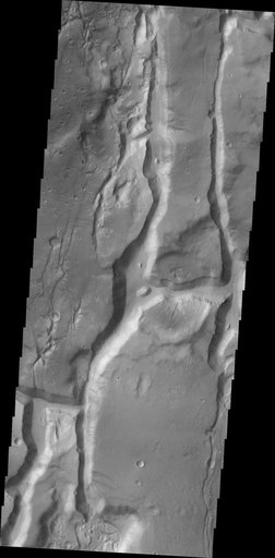 Cydonia Mensae