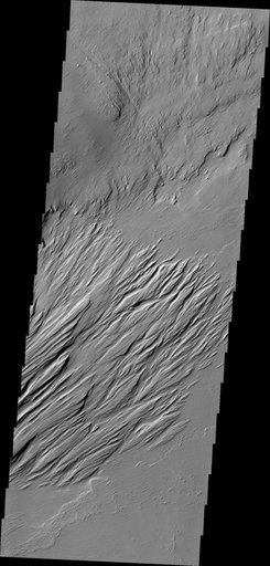 Wind Effects