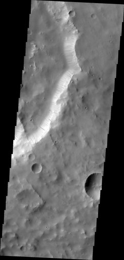 Dark Slope Streaks