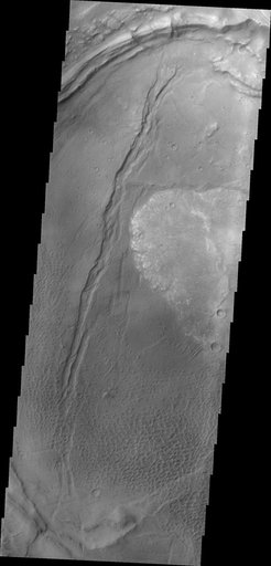 Nili Patera Dunes