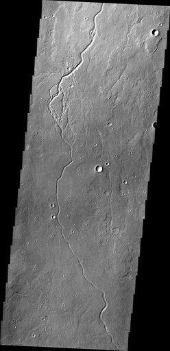 Elysium Channels