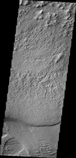 Wind Effects