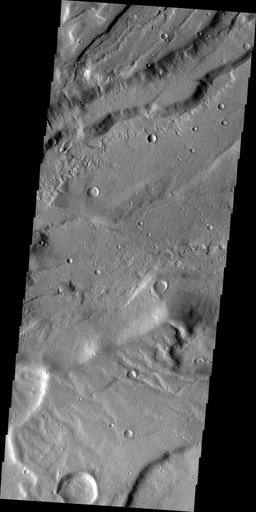 Tempe Terra