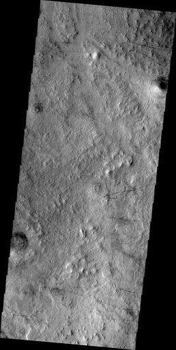 Dust Devil Tracks