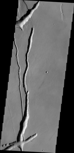 Collapse Features