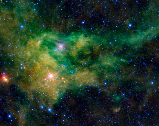 Supergiant Star Near Giraffe Hind Foot