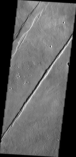 Alba Mons Tectonics
