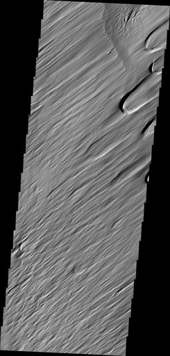 Wind Texture
