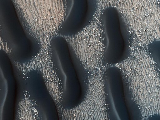 Proctor Crater Dune Field