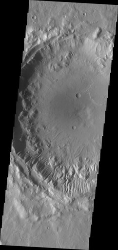 Gullies in Tempe Terra