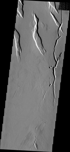 Collapse Features