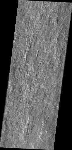 Olympus Mons Flows