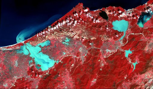 NASA Spacecraft Monitors Flooding in Algeria