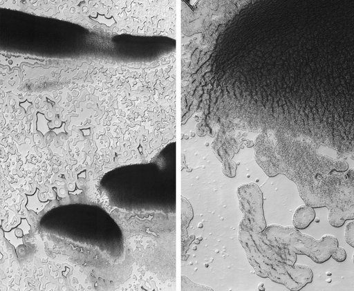 Pitting from Sublimation of Underlying Dry-Ice Layer