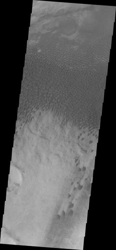 Dunes in Aonia Terra