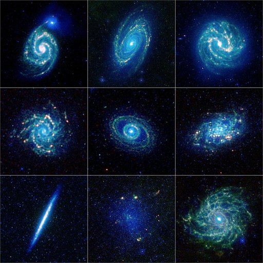 The Galaxy Menagerie from WISE