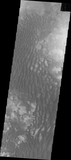 Kaiser Crater Dunes